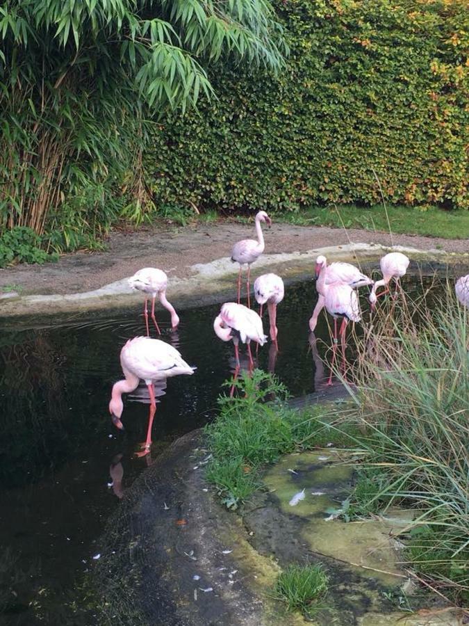 Vakantiebungalow De Groene Ster Leeuwarden Buitenkant foto