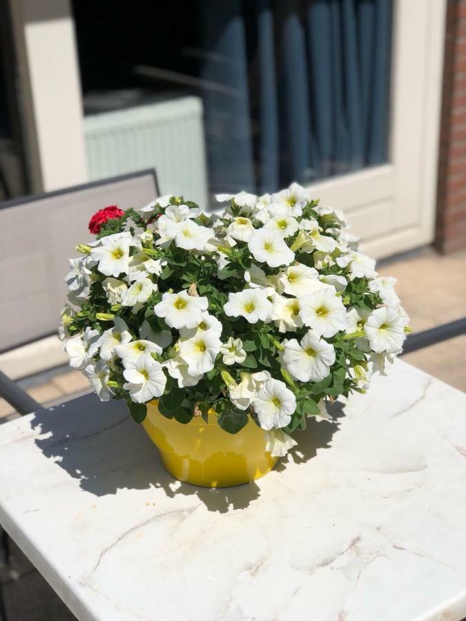 Vakantiebungalow De Groene Ster Leeuwarden Buitenkant foto