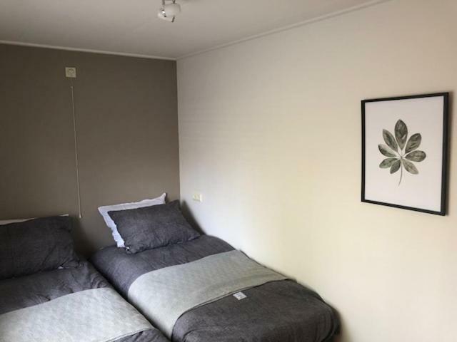 Vakantiebungalow De Groene Ster Leeuwarden Buitenkant foto